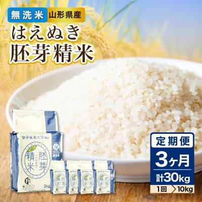ふるさと納税 大江町 《3ヶ月定期便》山形県産 無洗米 令和7年産 はえぬき 胚芽精米 10kg×3ヶ月 036-T27