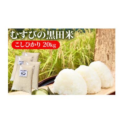 ふるさと納税 津市 新米 むすびの黒田米 こしひかり 20キロ[53720078]