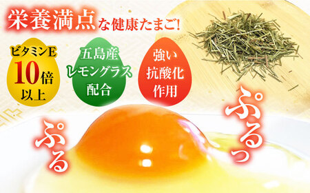 【箱入り】平飼たまご ファイブエッグ M-Lサイズ 45個 / 5EGG 卵 赤玉子 五島市 / 五島列島大石養鶏場 [PFQ036]  玉子 タマゴ 鶏卵 希少 五島列島