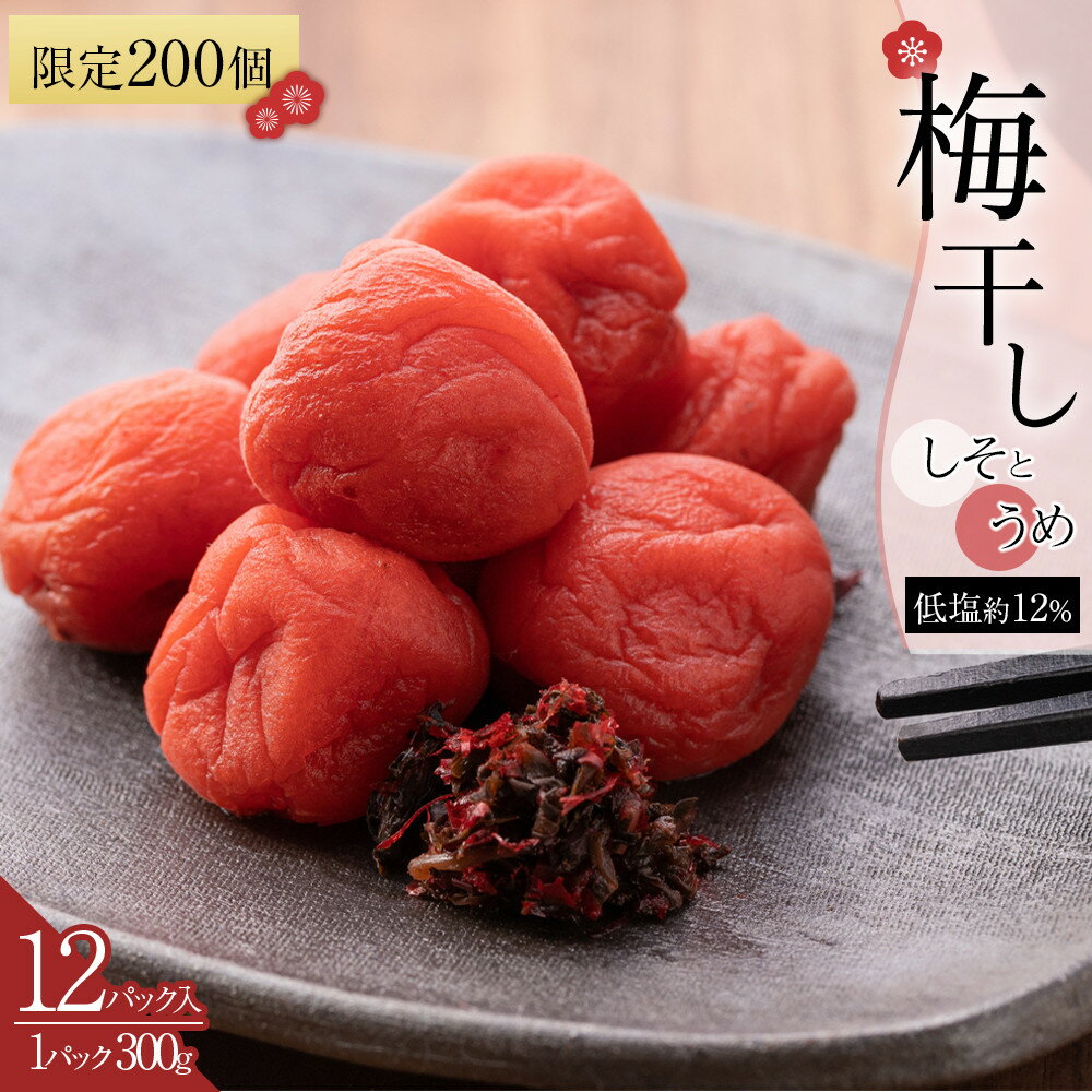 【ふるさと納税】角田市 岸浪園 梅干し しそとうめ 低塩約12％ 300g 12パック入り 限定200個 | 梅干 食品 加工食品 人気 おすすめ 送料無料