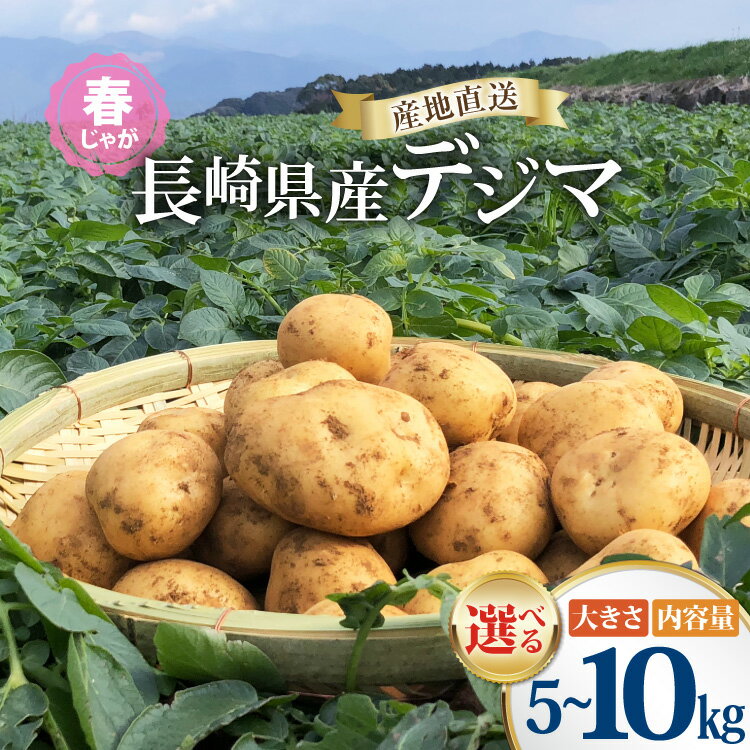 【ふるさと納税】【期間限定発送】 じゃがいも 5kg 10kg デジマ 選べる内容量 春じゃが[なんぐしデジマプロジェクトチーム 長崎県 雲仙市 item2057] ジャガイモ 5キロ 10キロ 春じゃがいも 長崎県産 期間限定
