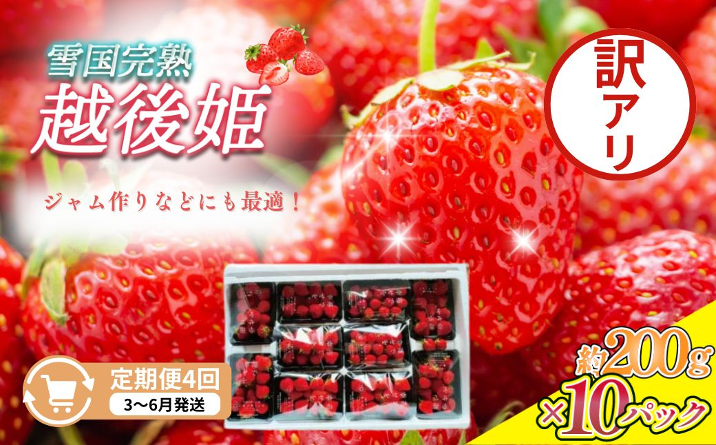 
                  先行予約  定期便 4回【3～6月発送】訳あり越後姫 約200g×10定期配送 越後姫 えちごひめ 苺 いちご 訳あり 新潟 苺の花ことば
                