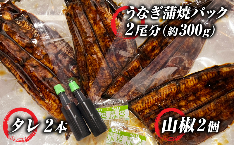 手焼き三河一色産1年うなぎ蒲焼2尾(約300g)・A140-17