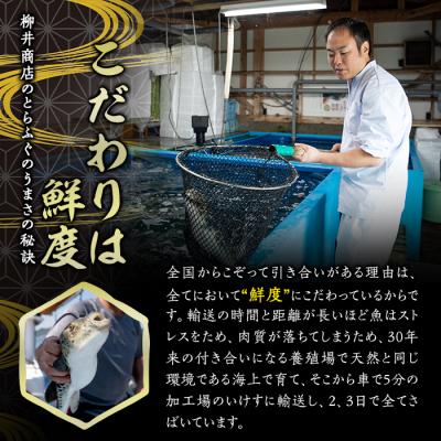 ふるさと納税 佐伯市 <定期便・全12回 (連続)>とらふぐ刺身 (総量約960g・1-2人用×12回) |  | 02