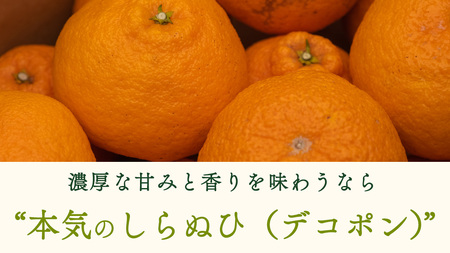 瀬戸内 オーガニック 不知火 3kg 【2027年2月～3月発送】