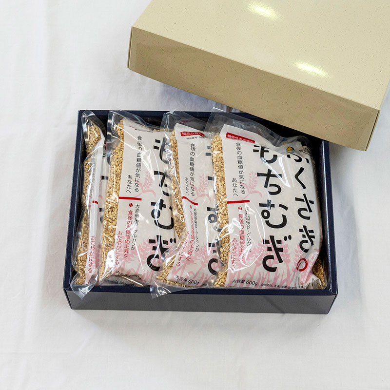 もちむぎ精麦2.4kg（600g×4袋）小分け もちむぎ 雑穀 五つ星ひょうご選定商品