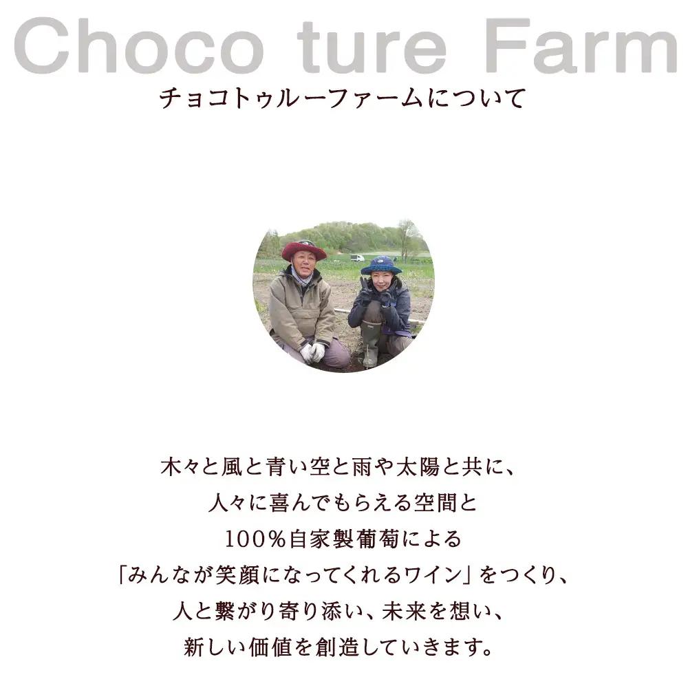 千歳ワイン2022（Chitose Wine）750ml 1本※ギフトボックス無し