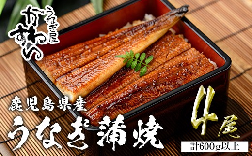 【7営業日以内に発送！】＜うなぎ屋かわすい＞鹿児島県産 国産うなぎ蒲焼 (計600g以上 / 1本あたり150～169g×4本) タレ入り 鰻 うな重 かばやき【川口水産】A856