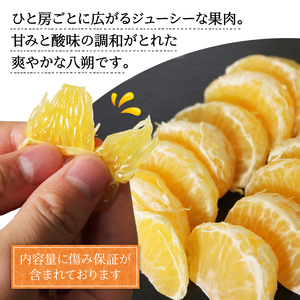 訳あり 八朔 約2kg はっさく 