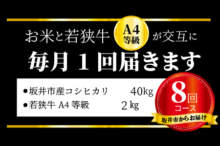 【定期便 8回コース】 坂井市産コシヒカリ 計40㎏ ＋ 若狭牛切り落とし 計2㎏ [J-3201]