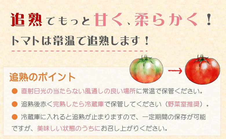 訳あり！ご家庭用に大活躍　夢追うトマト5㎏～6kg 【B0-190】 トマト とまと ジューシー リコピン 期間限定 松浦市 松浦産 大玉トマト　訳ありトマト