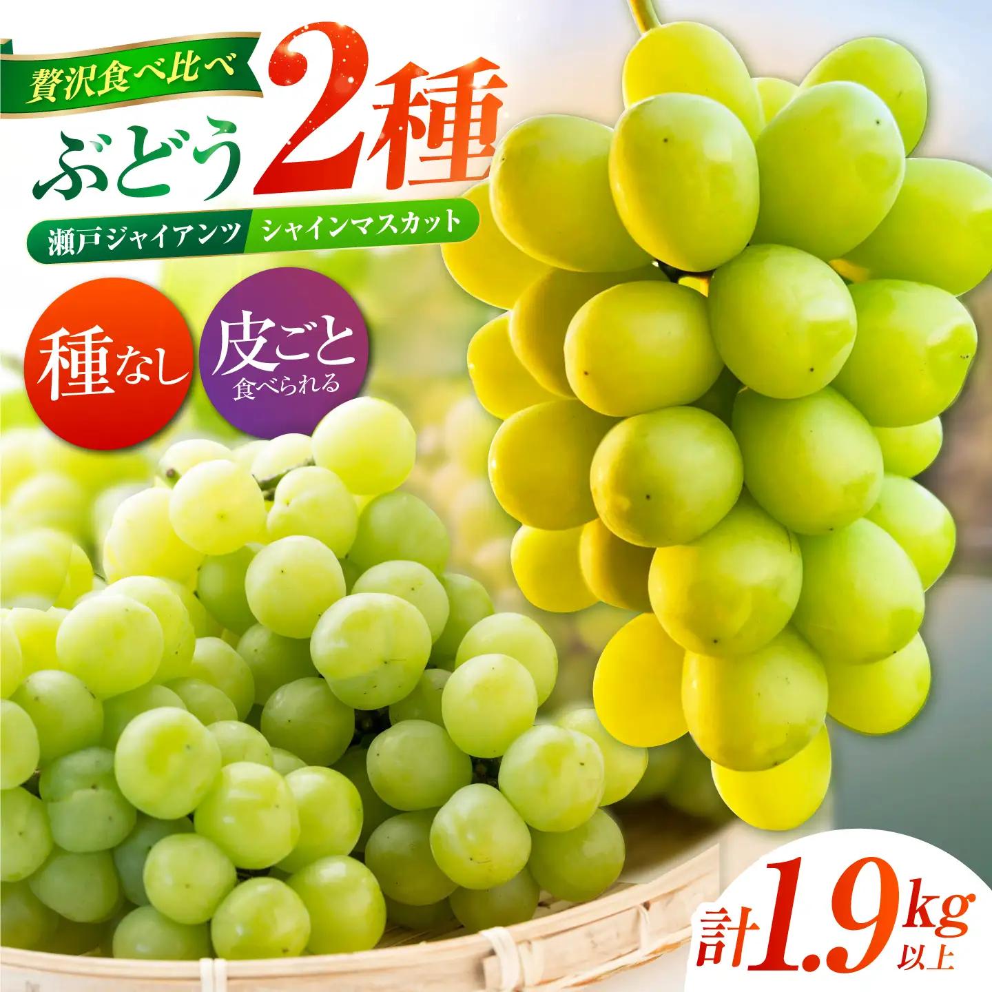 【先行予約】 ぶどう2種詰め合わせ（瀬戸ジャイアンツ・シャインマスカット） 総計1.9kg以上 【小林農園】 / ブドウ ぶどう 果物 種なし[HAX014]