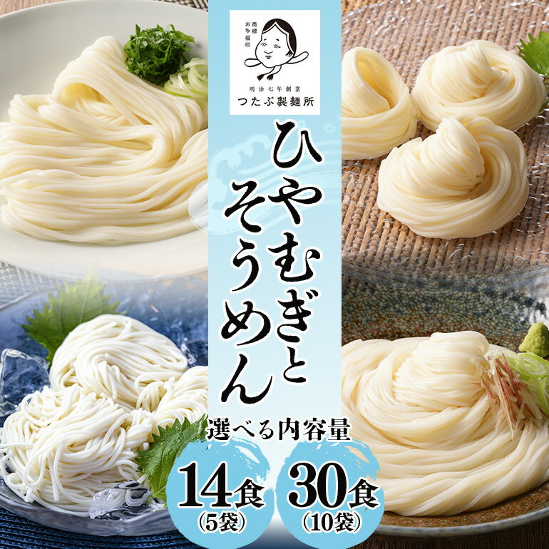 【ふるさと納税】 麺 ひやむぎ そうめん 堪能 セット 選べる 5袋 10袋 まっすぐ麺 曲がり麺 送料無料 y12-112