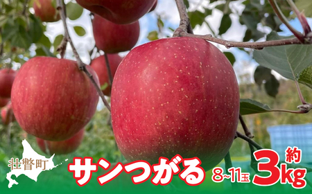【先行予約】北海道壮瞥町産りんご「サンつがる」約3kg(8～11玉)＜2026年9月下旬よりお届け＞ SBTF001