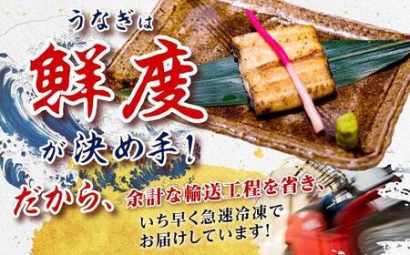 鹿児島県産うなぎカット白焼き6袋 計300g以上(パック個包装)|国産 うなぎ 鰻