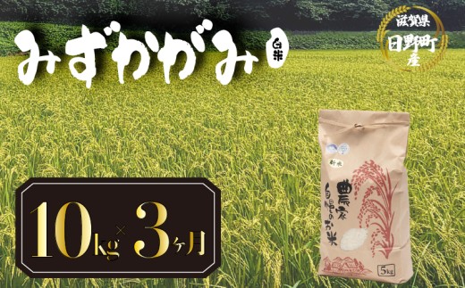 【 令和8年産 米 10kg 定期便 3ヶ月 】 みずかがみ 米 白米 国産 滋賀県 日野町 農家直送 お米 おこめ こめ 産地直送 ふるさと納税