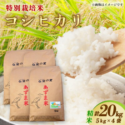 【ふるさと納税】【令和7年産】特別栽培コシヒカリ20kg(5kg×4袋)　精米【配送不可地域：離島・沖縄県】【1712100】
