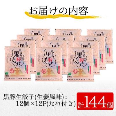 ふるさと納税 いちき串木野市 鹿児島黒豚生餃子(生姜風味) 計144個(12個×12P) タレ付き!国産野菜使用! |  | 03