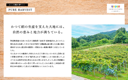 スパークリング白ワイン‐Chateau Romanshu Sparkling Shine2024‐500ml×1本【ふくしま農家の夢ワイン株式会社】