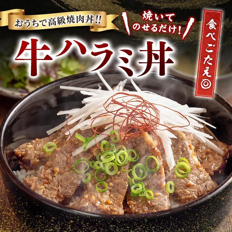 牛 ハラミ 400g（200g×2袋）