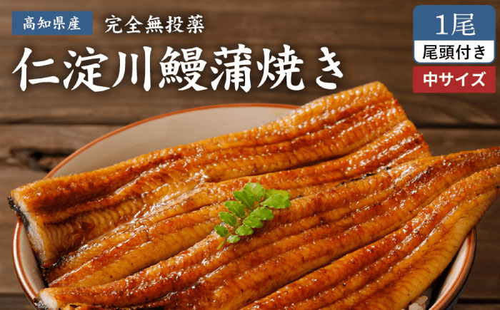 
            【7/1～価格改定】高知県産うなぎ蒲焼き 中1尾 約150g【池澤鮮魚オンラインショップ】 完全無投薬 仁淀川 国産 うなぎ蒲焼き ギフトセット うな重 ひつまぶし ウナギ 蒲焼 蒲焼き 鰻蒲焼き うなぎ 高知県 高知市 土佐 鰻 おすすめ ウナギ 贈り物 贈答 [ATBE005]
          