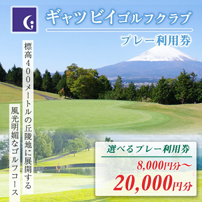 【ふるさと納税】ギャツビイゴルフクラブ プレー利用券 | 計8000円分〜 選べる 利用券 チケット 1枚 4000円×2枚〜 3枚 5枚 ゴルフ ゴルフ場 ゴルフプレー券 ゴルフ利用券 富士山 富士 景観 券 静岡県 小山町 送料無料