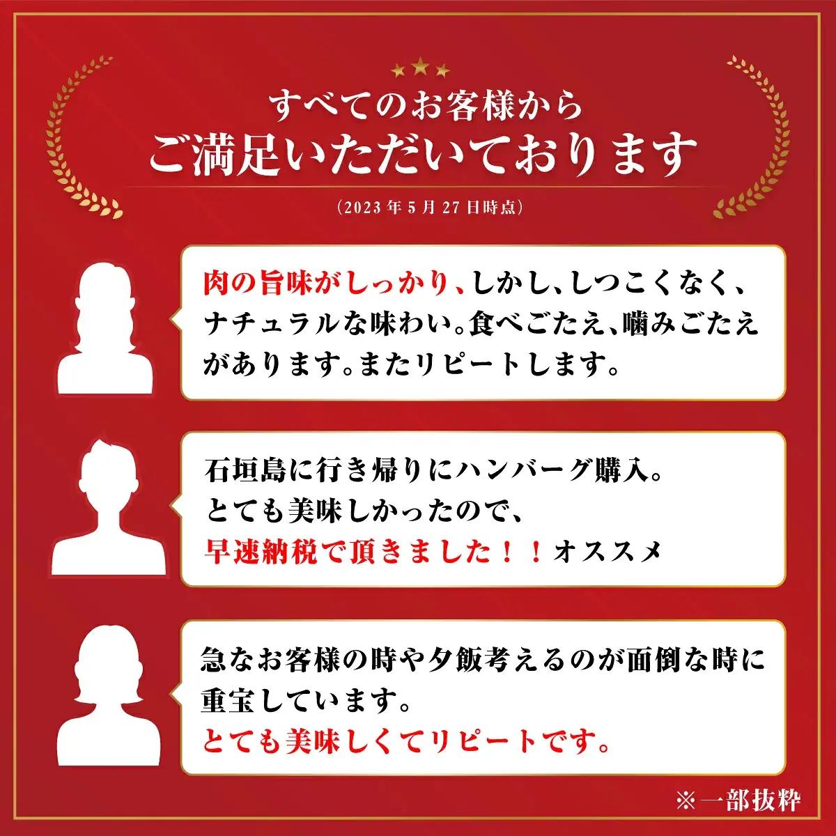石垣牛 ハンバーグ セット (100g×10個)＜2027年5月発送＞