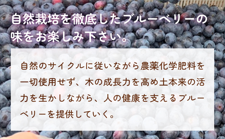 ＜ 先行予約 ＞ ブルーベリーソース 220g 無添加 手作り フルーツソース 果実 さっぱり