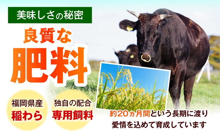 博多和牛 シャトーブリアン ステーキ ヒレ 国産 黒毛和牛 牛肉