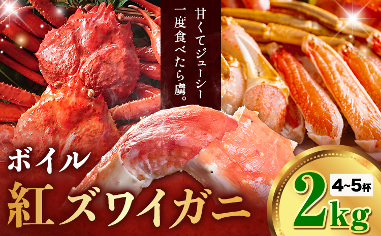【ふるさと納税】カニ 紅ズワイガニ 2kg(4杯 〜5 杯) 《9月上旬-5月末頃出荷》 SOO合同会社 鳥取県 八頭町 送料無料  蟹 かに 姿 鍋 ズワイガニ  ズワイ蟹 ボイル ベニズワイ ベニズワイガニ