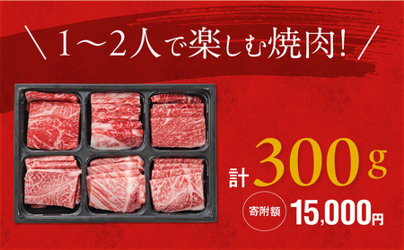 宮崎牛6種盛り焼肉食べ比べ300g≪みやこんじょ快速便≫_MJ-N202-R