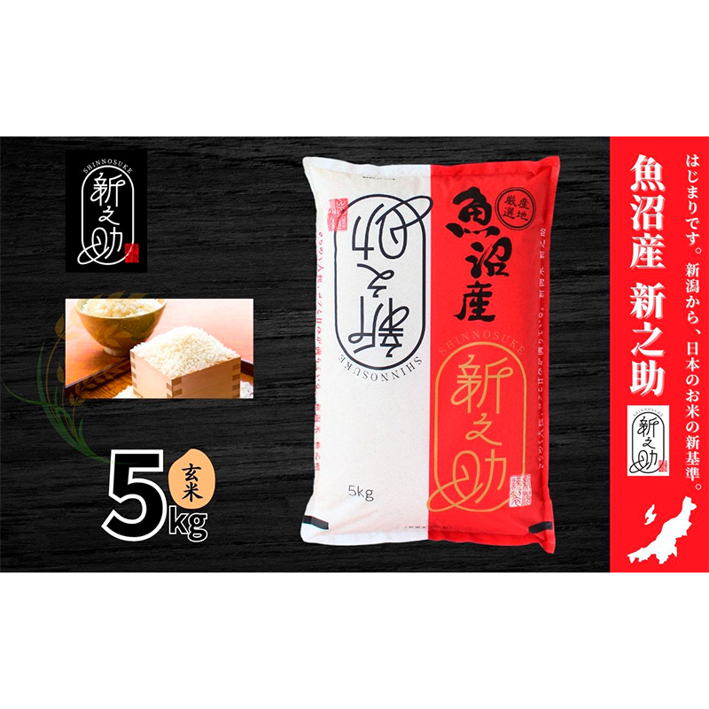 【令和6年産】魚沼産新之助(玄米)5kg 米 お米 玄米 しんのすけ 中魚沼 新潟県 十日町市