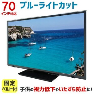 和泉市　70MBL5　70インチ用　テレビ画面保護パネル　ブルーライトカットタイプ  スペーサー付属【1669381】