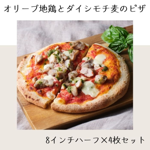 オリーブ地鶏とダイシモチ麦のピザ（8インチハーフ×4枚セット）【L-65】