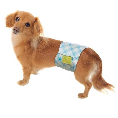 ふるさと納税 観音寺市 男の子のためのマナーおむつ　おしっこ用　小型犬42枚×6個 |  | 01