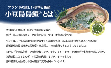 ハモ 魚貝類 小豆島島鱧 活け締め骨切り 小豆島産 ハモ【冷凍】