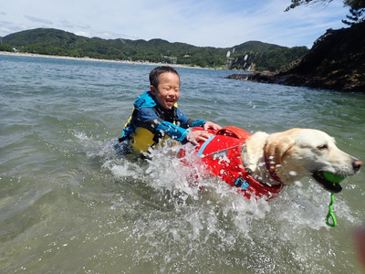 愛犬と一緒にシーカヤック 湊カフェ＆Pirates 施設利用券〈9,000円分〉　　【 カヤック 犬 】