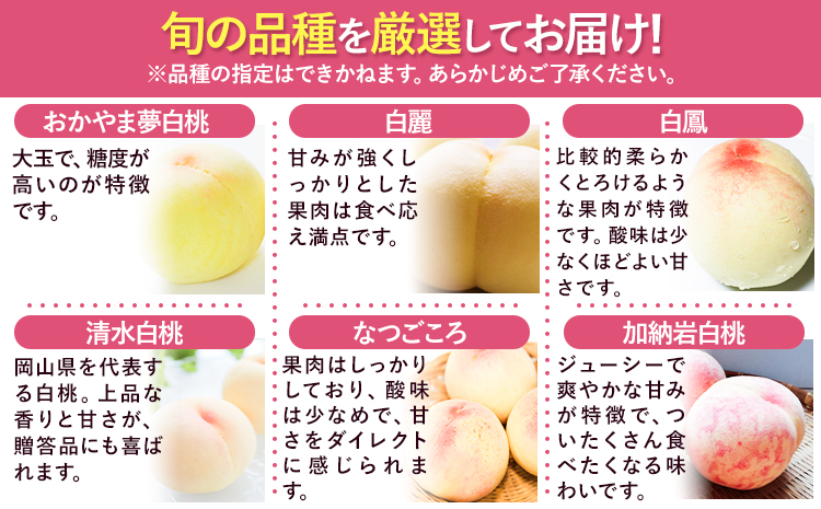 【令和8年度先行予約】贈答用 桃 内容量 2.4kg ハレノフルーツ （犬塚農園） 《2026年6月末-8月中旬頃出荷》岡山県 浅口市 フルーツ モモ 果物 青果 旬 おかやま夢白桃 白麗 白鳳 清水