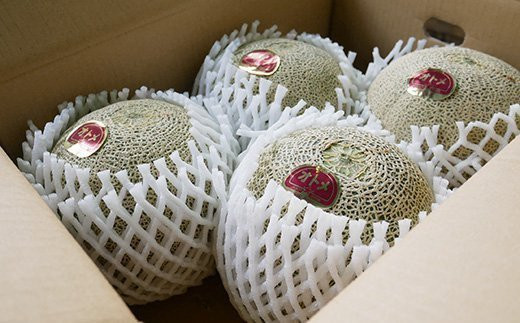 082-2茨城県産オトメメロン【秀品】約5kg（3~5玉）