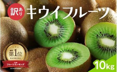 わけあり キウイ 10kg+250g（傷み補償分）扁平果 / 和歌山 家庭用 フルーツ 果物 くだもの ※2026年11月中旬より2027年4月下旬頃順次発送予定 ※北海道・沖縄・離島配送不可 【ikd505-c-10】