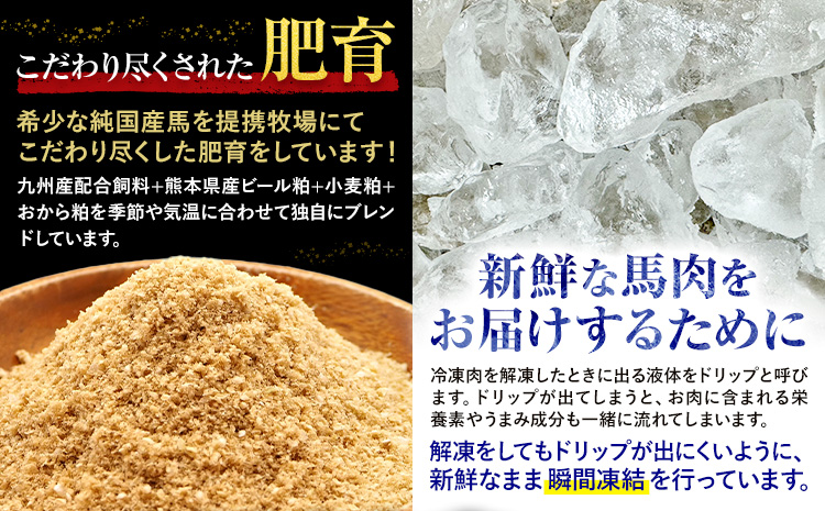 馬刺し 純国産 ウマウマ 霜降り セット 専用袋醤油付き 50g × 3種 計150g 有限会社九州食肉産業《30日以内に出荷予定(土日祝除く)》 熊本県 産山村 純国産 国産 赤身 熊本肥育 生食用