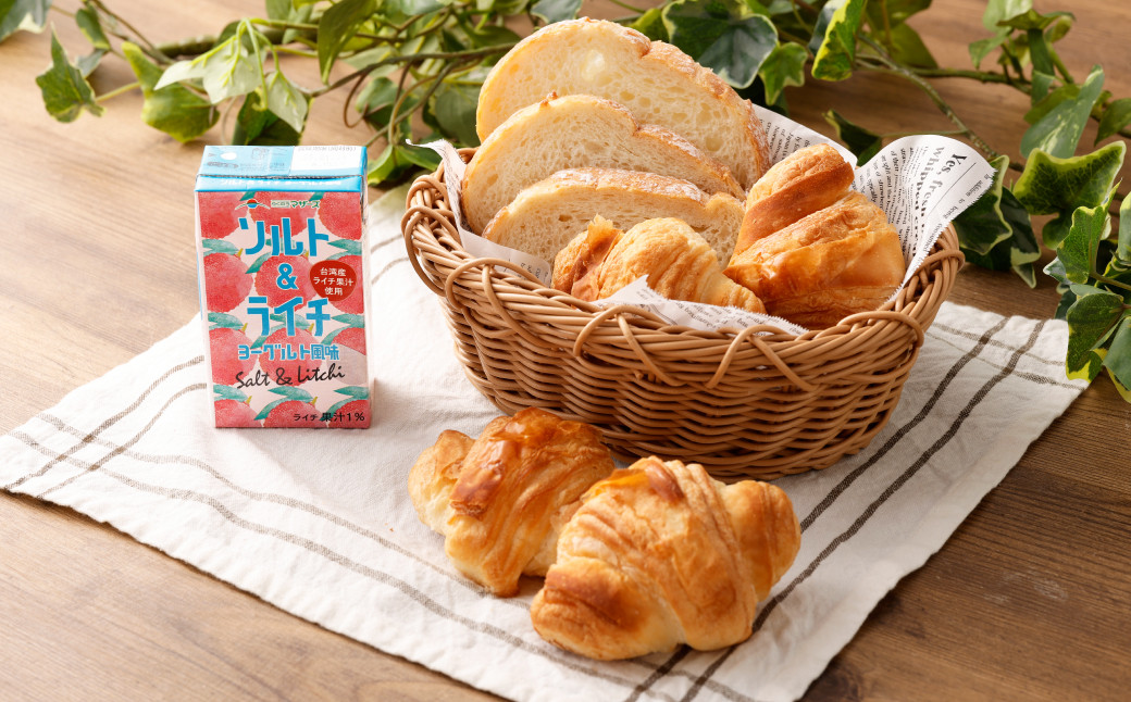 ソルト＆ライチ ヨーグルト風味 250ml×24本