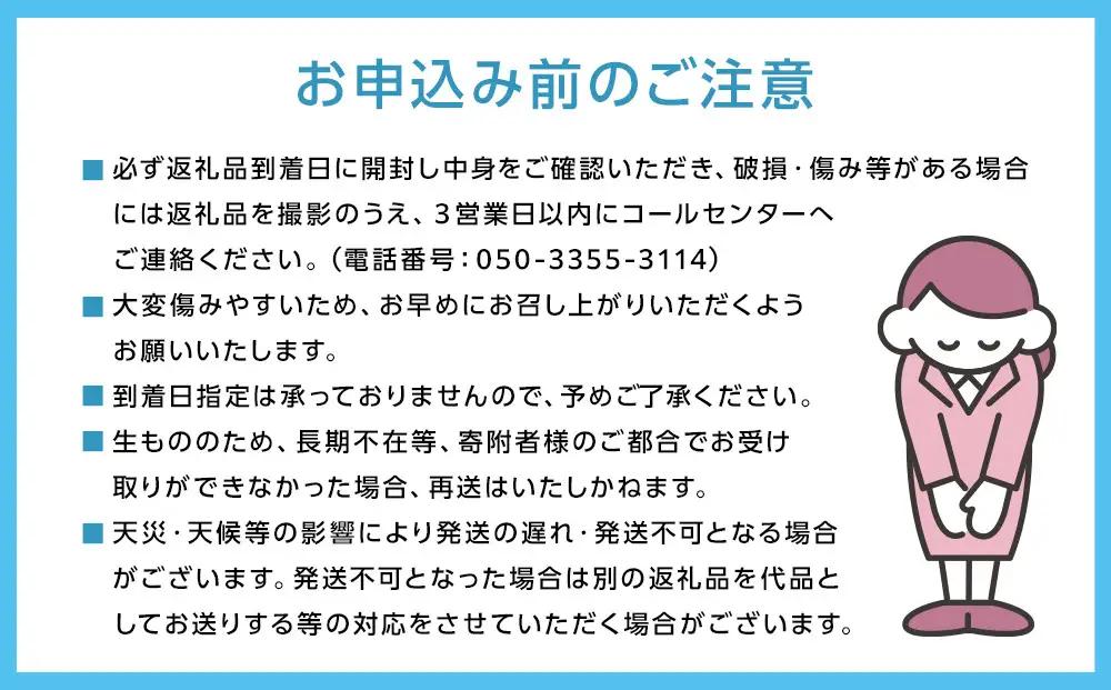 【8月中旬から発送】 2026年 岡山産ぶどう3種 食べ比べ 宝石箱 クイーンニーナ シャインマスカット マイハート 粒だけ18粒 長方形化粧箱 農林大臣賞2回受賞  岡山 果物 フルーツ  数量限定