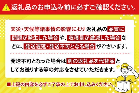 【2026年6月下旬より順次発送】マンゴーの里！豊見城市産♪あま〜い♪アップルマンゴー 約2kg(3～6玉)(家庭用)｜マンゴー アップルマンゴー フルーツ 果物 くだもの 先行予約 沖縄 おきなわ 