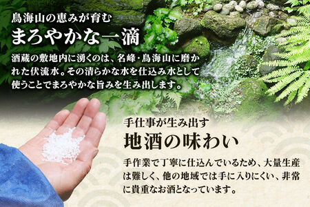 佐藤酒造店 日本酒 出羽の冨士 純米吟醸 Riquisimo［リキシモ］ 720ml×1本