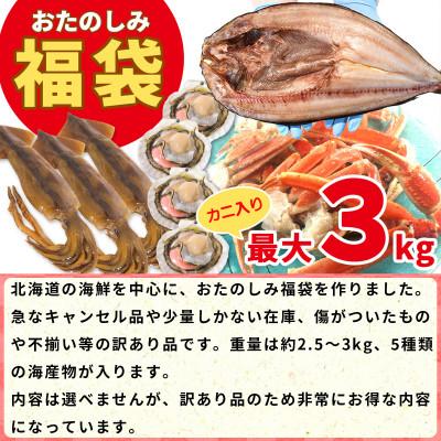 ふるさと納税 鹿部町 北海道の海鮮<おたのしみ福袋> 訳あり 5種 最大3kg SM50-3 |  | 01