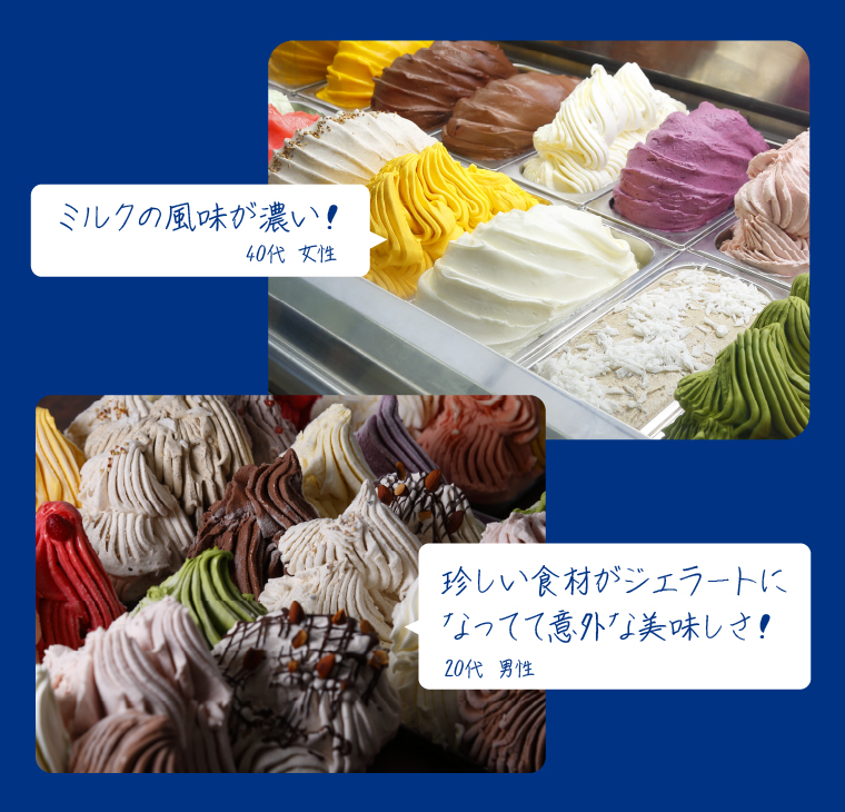 410007 LicoLicoの北海道素材を使った自家製ジェラート・かぼちゃ＆ミルク(業務用/1,000ml×2)
