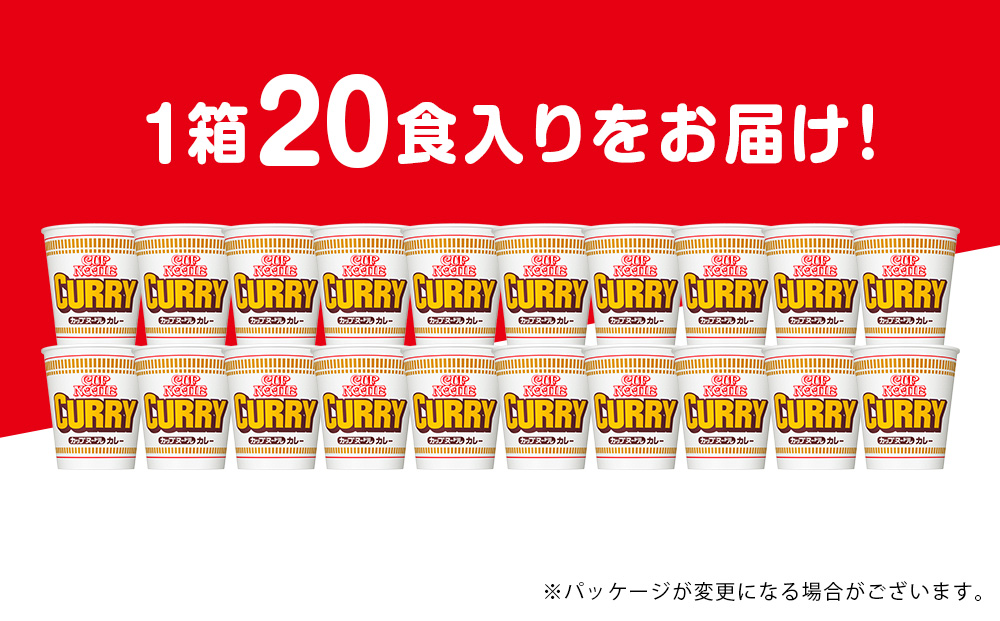 日清 カレーヌ−ドル★1箱（20食入）
