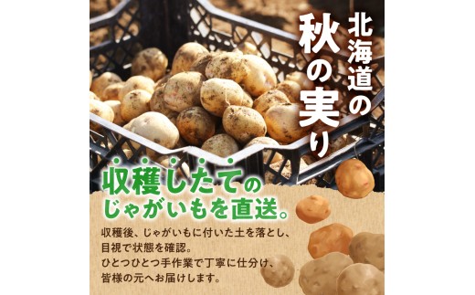2026年9月中旬～発送 北海道産 じゃがいも食べ比べセット 「きたあかり・男爵」 5kg  ジャガイモ 芋 いも 秋野菜 季節の野菜 直送農場 北海道雨竜町産 サイズ混同 野菜 U012-0005