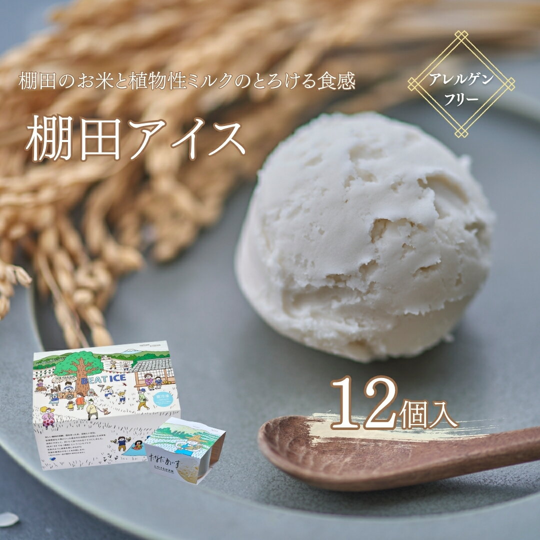 【ふるさと納税】棚田アイス とろけるお米味 91ml×12個| 信州 長野 千曲市 送料無料